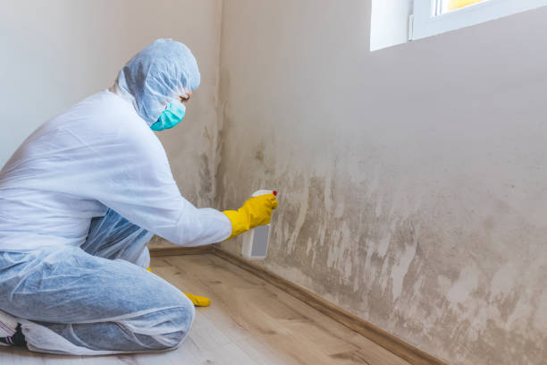Licensed Commercial Mold Remediation service in East Hanover, NJ - WQB Mold Removal