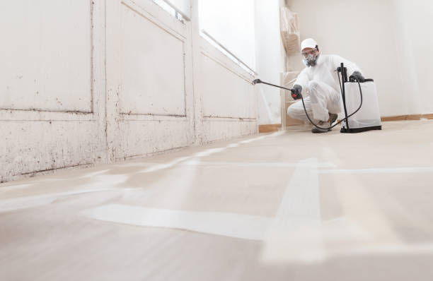 24/7 Emergency Commercial Mold Remediation experts in East Hanover, NJ