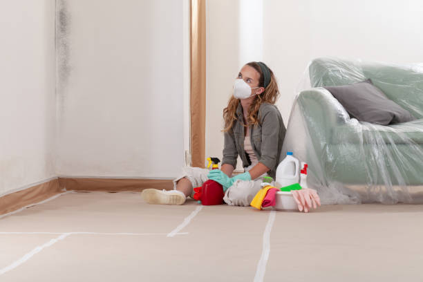Reliable Commercial Mold Remediation contractor in East Hanover, NJ by WQB Mold Removal