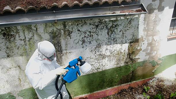 Top rated local Commercial Mold Remediation specialists in East Hanover, NJ
